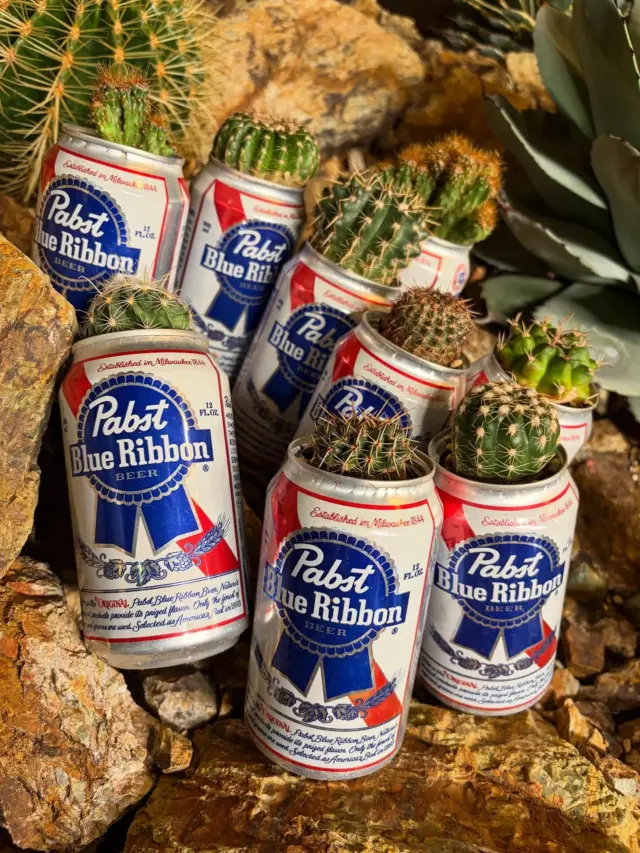 ここはグリーンウッド まとめ売り 2025年最新】Yahoo!オークション